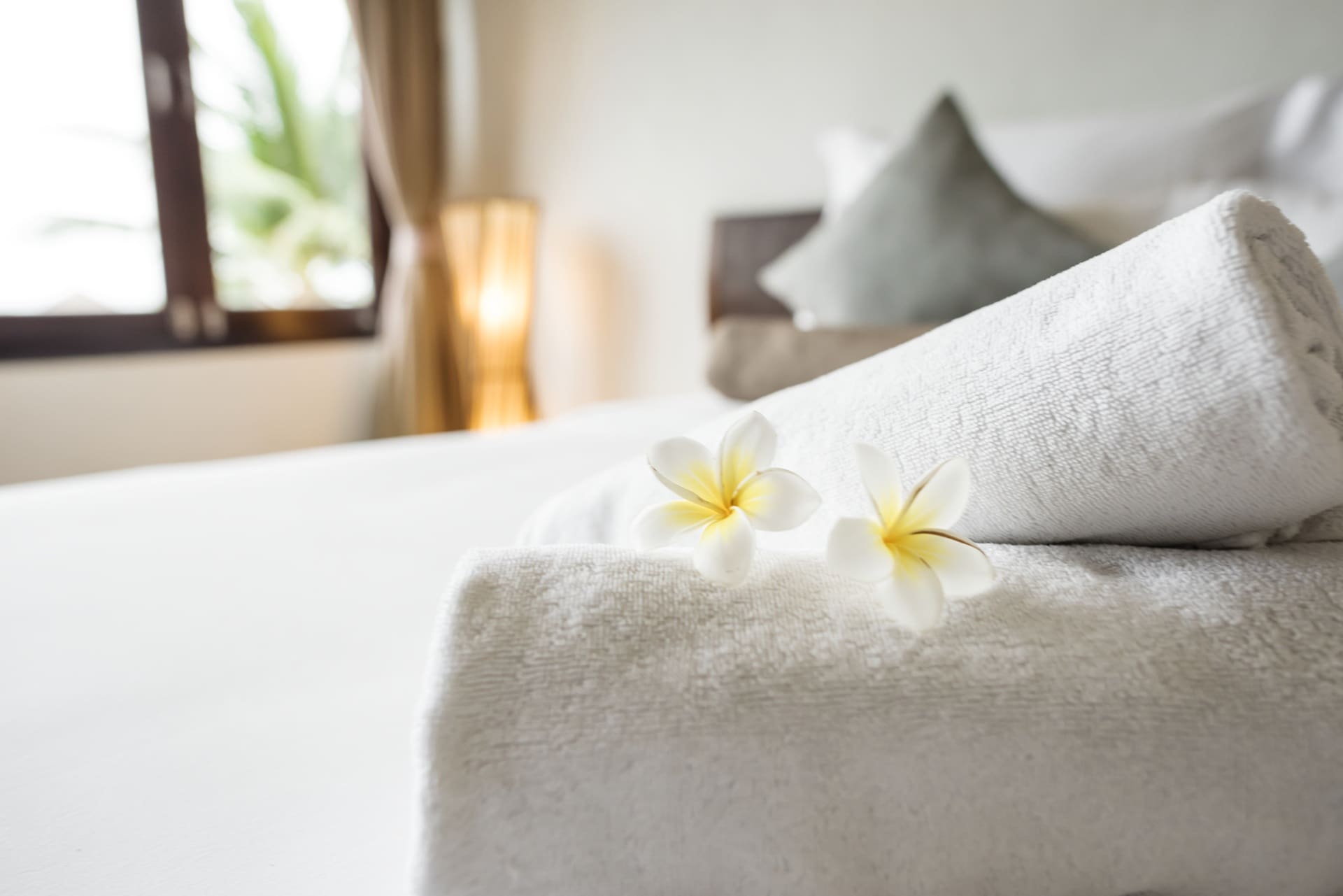 Rolled white towels with two plumeria flowers rest on a neatly made bed in a softly lit room, evoking the comfort and freshness of a top-rated wash and fold Katy TX laundry service.